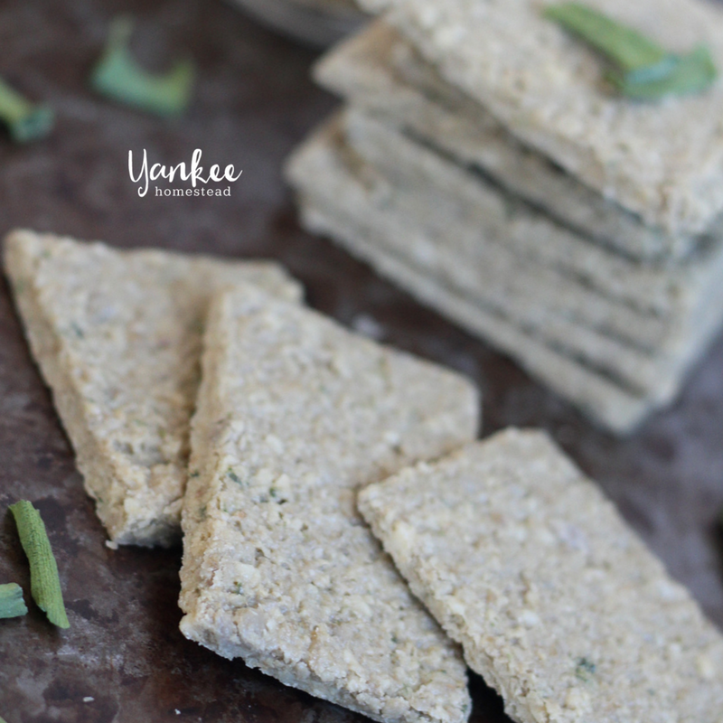 Onion Nut Dehydrator Crackers | Yankee Homestead