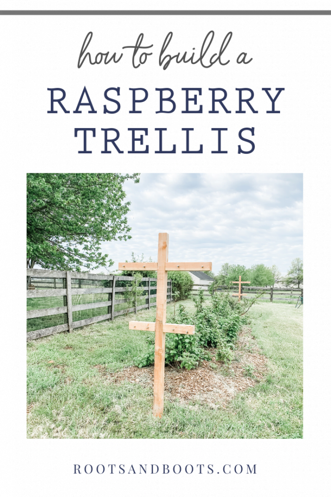 How to Build a Raspberry Trellis | Roots & Boots