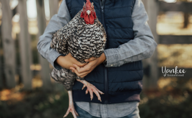 Perfect Gifts for Farm Kids | Yankee Homestead