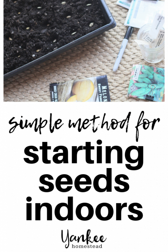 How to Start Seeds Indoors | Yankee Homestead