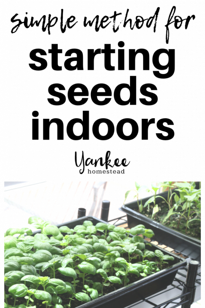 How to Start Seeds Indoors | Yankee Homestead