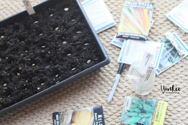 How to Start Seeds Indoors How to Start Seeds Indoors