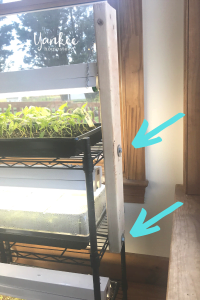 How to Create a Simple Seed Starting System