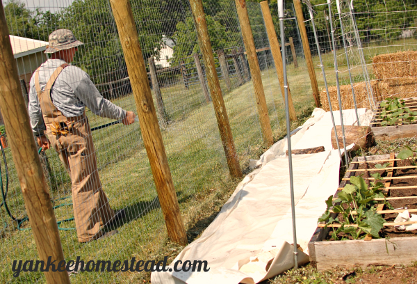 3 Affordable Materials for Vegetable Garden Walkways | Yankee Homestead