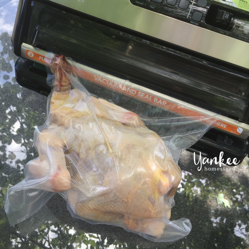 2017 Homestead Year in Review: Meat Birds | Yankee Homestead