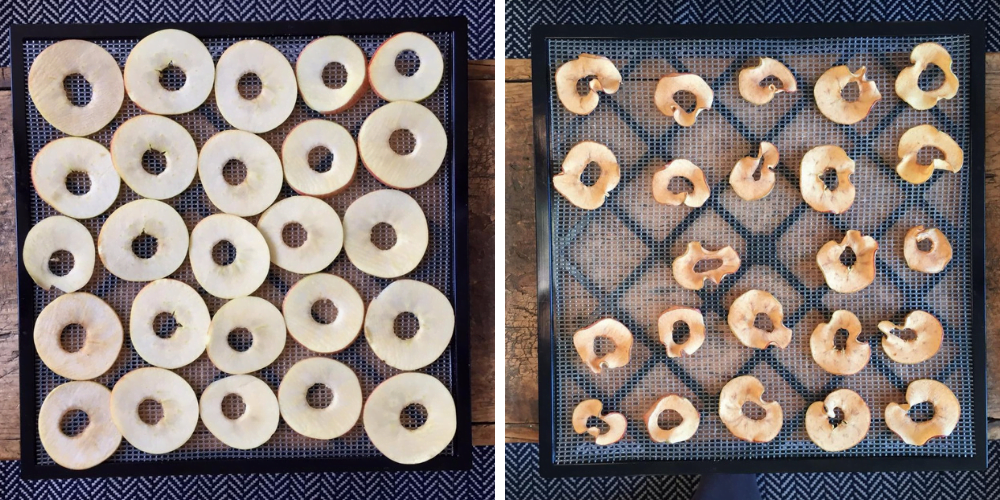 Easy Homemade Apple Chips | Roots & Boots