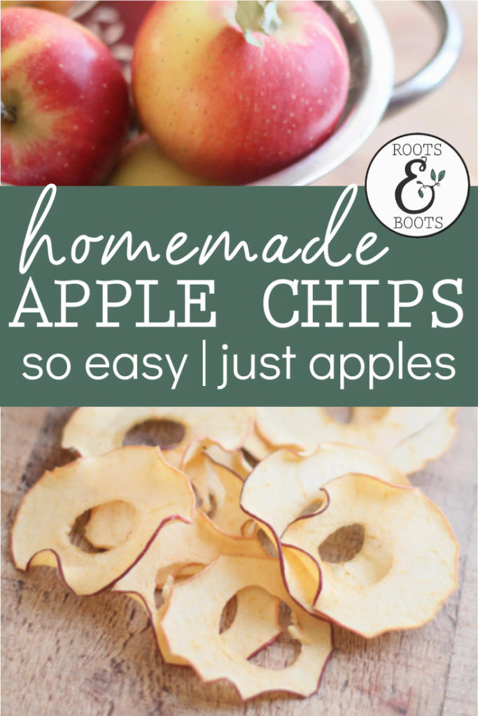 Easy Homemade Apple Chips | Roots & Boots