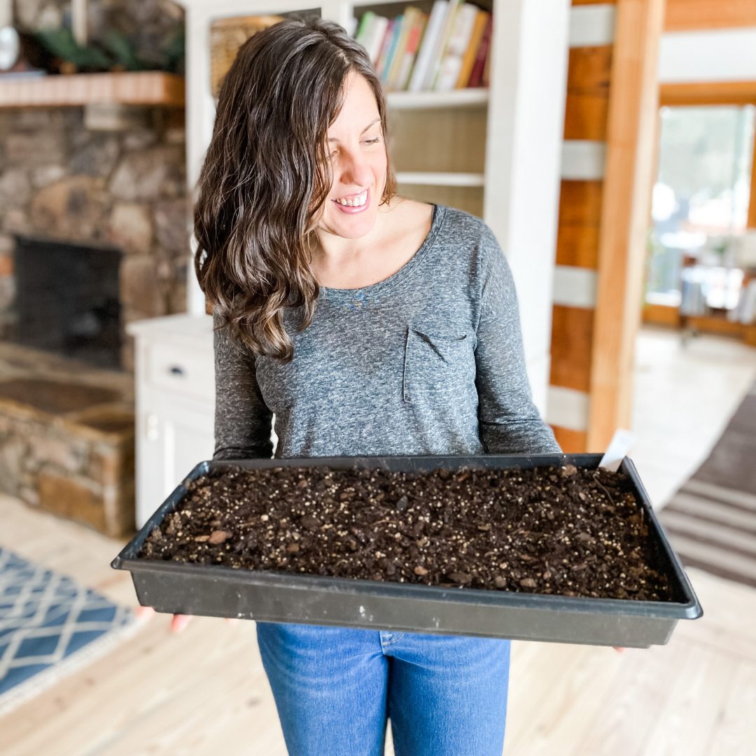 How to Start Seeds with the Soil Blocking Method | Roots & Boots