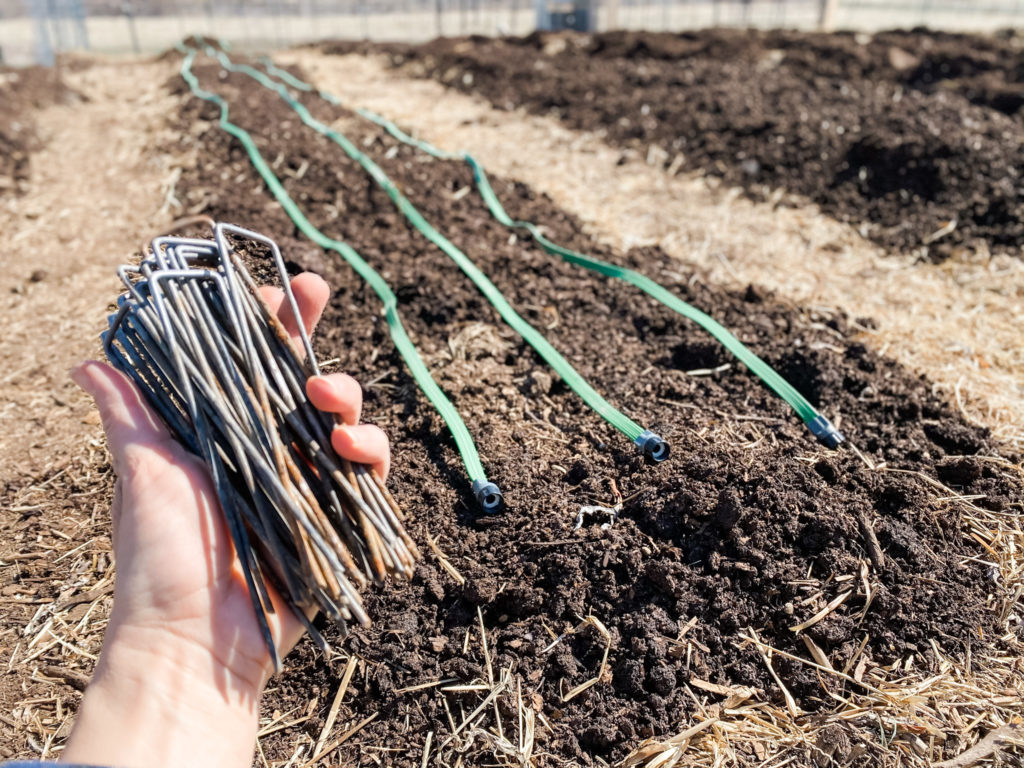 The Best Way to Keep Your Vegetable Garden Watered | Roots & Boots