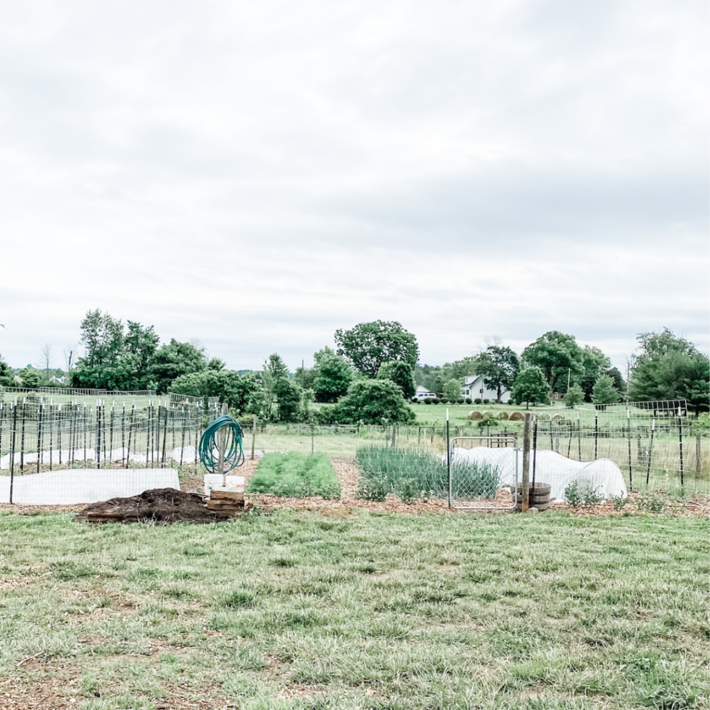 The Best Way to Keep Your Vegetable Garden Watered | Roots & Boots