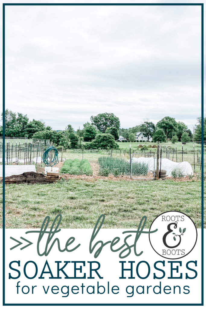 The Best Way to Keep Your Vegetable Garden Watered | Roots & Boots