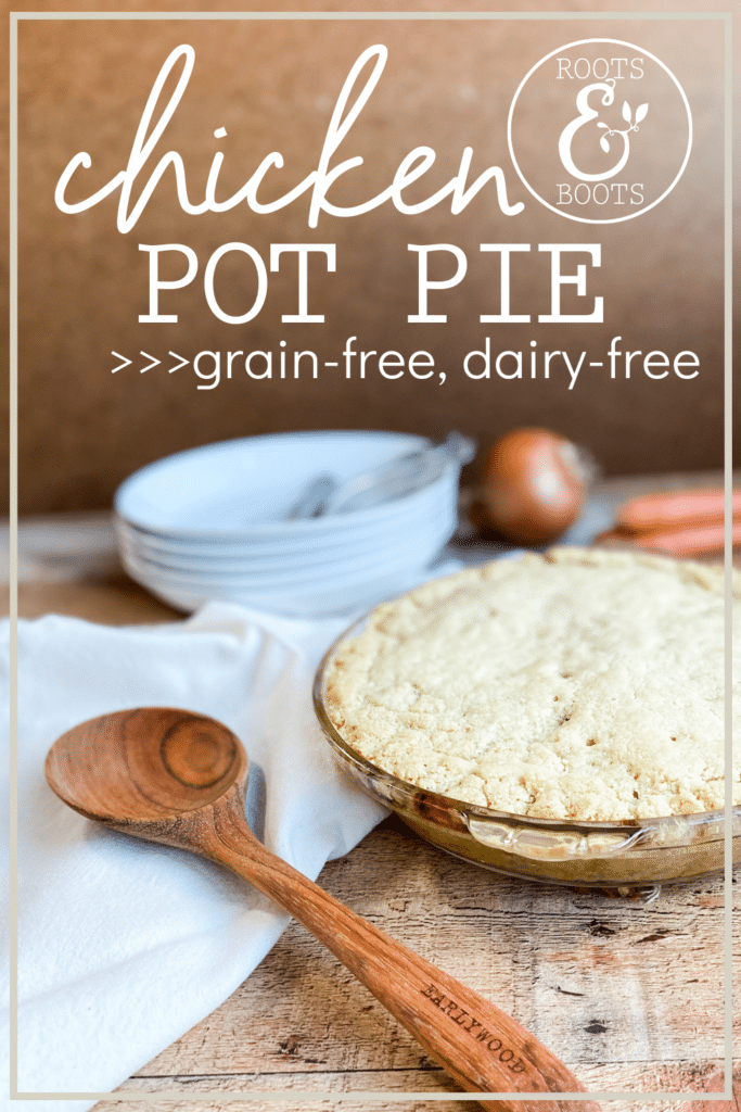 Grain-Free Dairy-Free Chicken Pot Pie | Roots & Boots