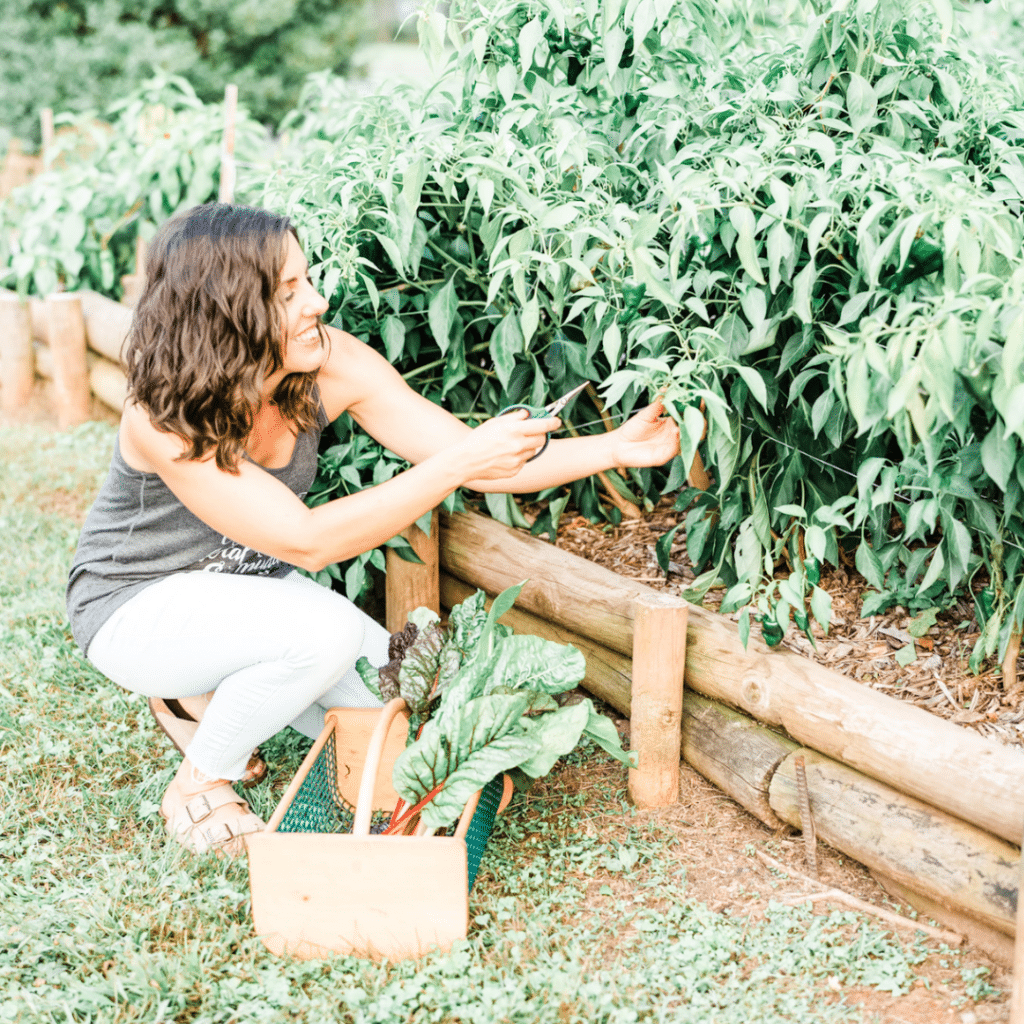 How to Grow an Entire Year's Supply of Peppers | Roots & Boots