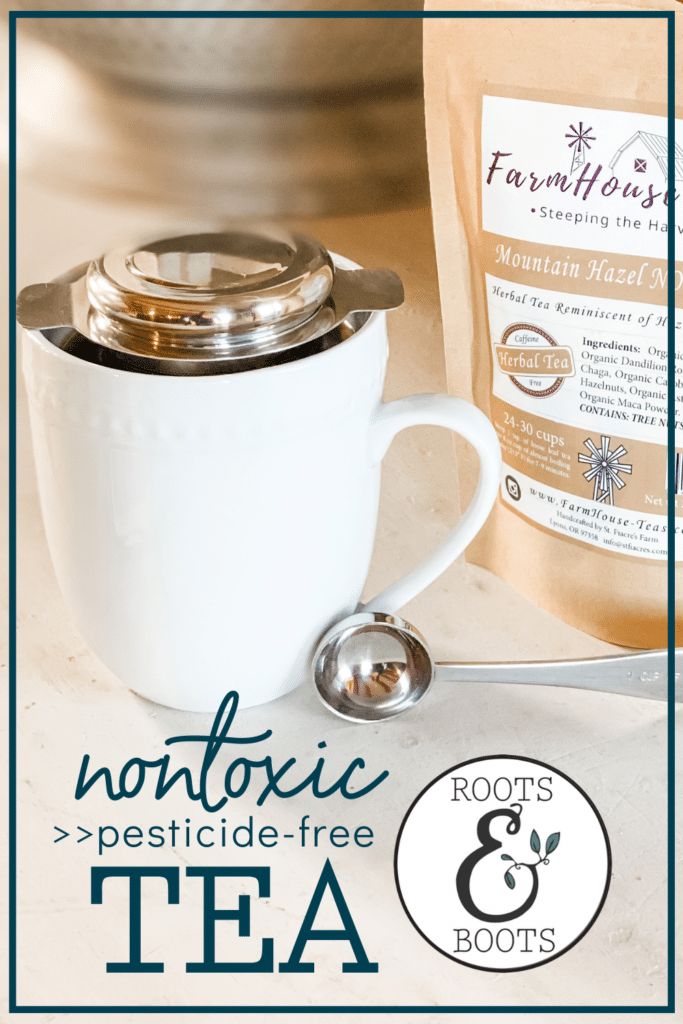 Best Nontoxic Coffee Makers and Tea Kettles - Roots & Boots