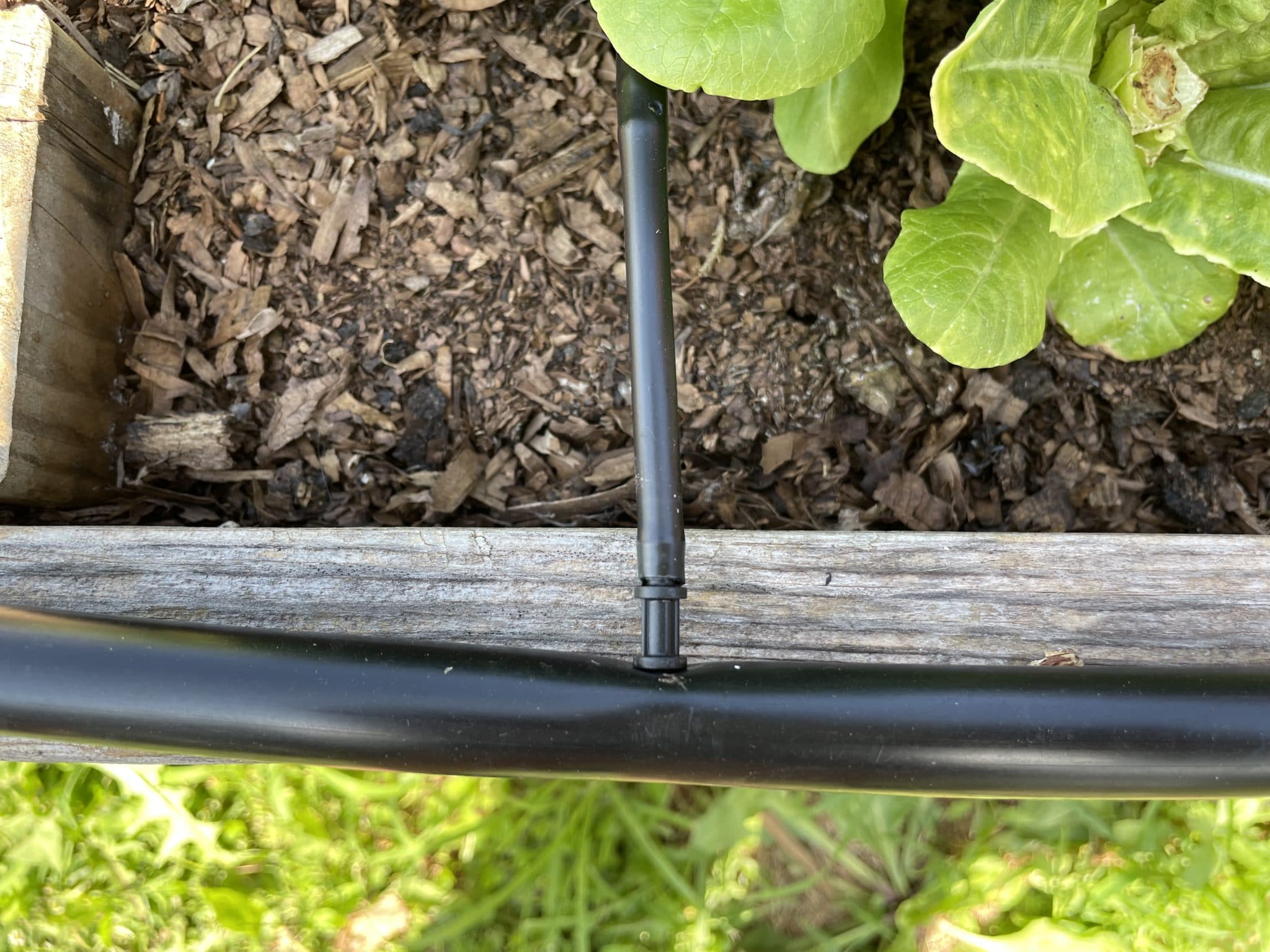 How to Install Drip Irrigation in Raised Garden Beds - Roots & Boots