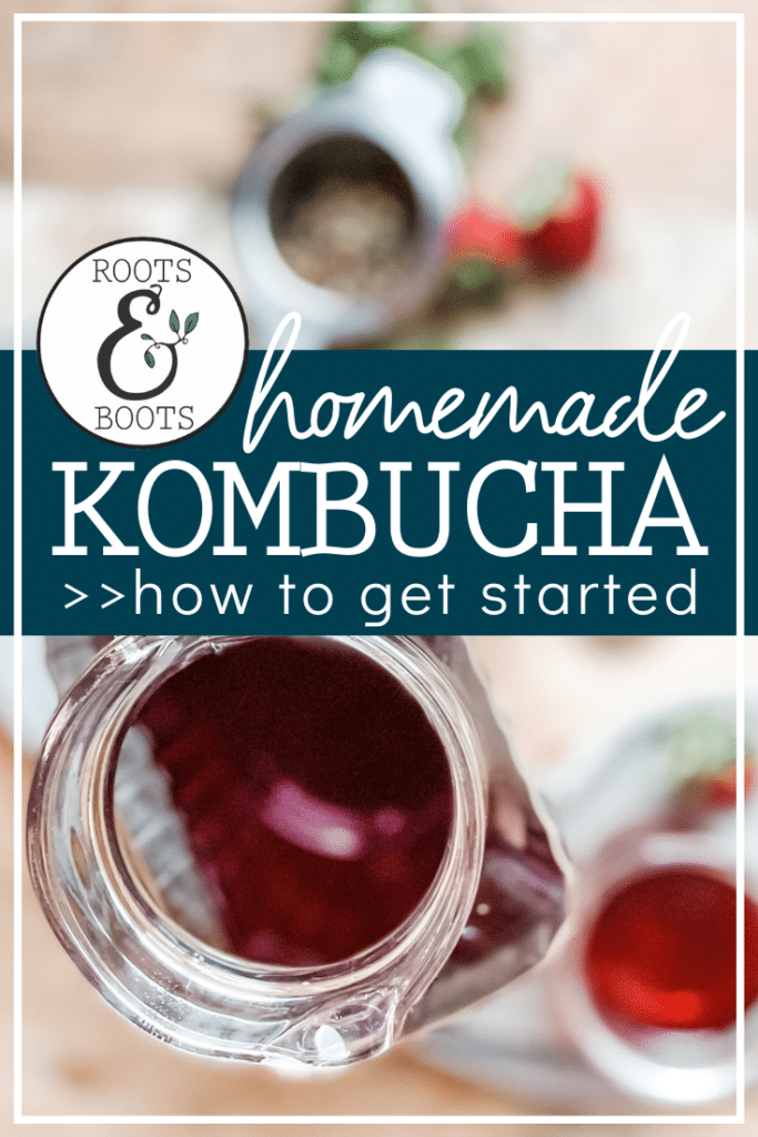 Getting Started with Kombucha | Roots & Boots