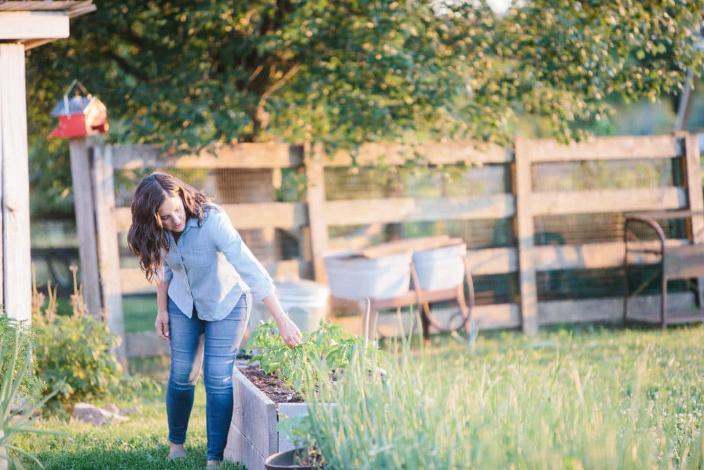 16 Best Veggies for Your Fall Garden