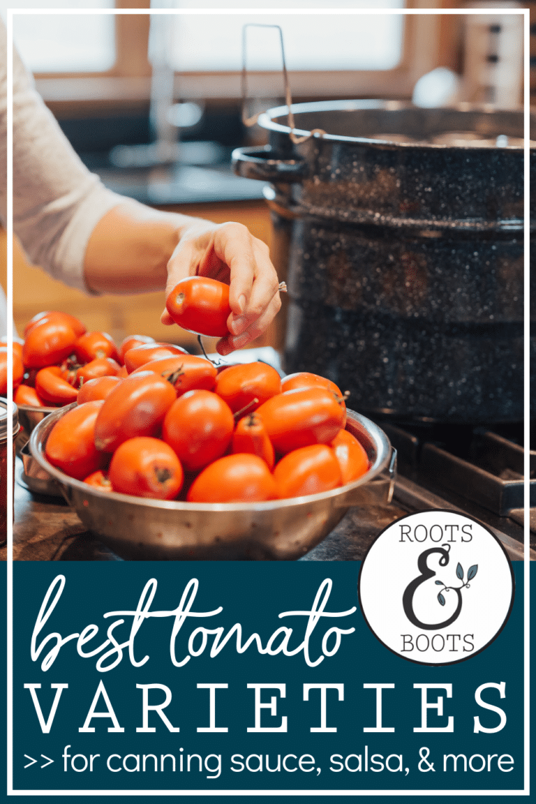What Type of Tomato is Best for Canning? Roots & Boots
