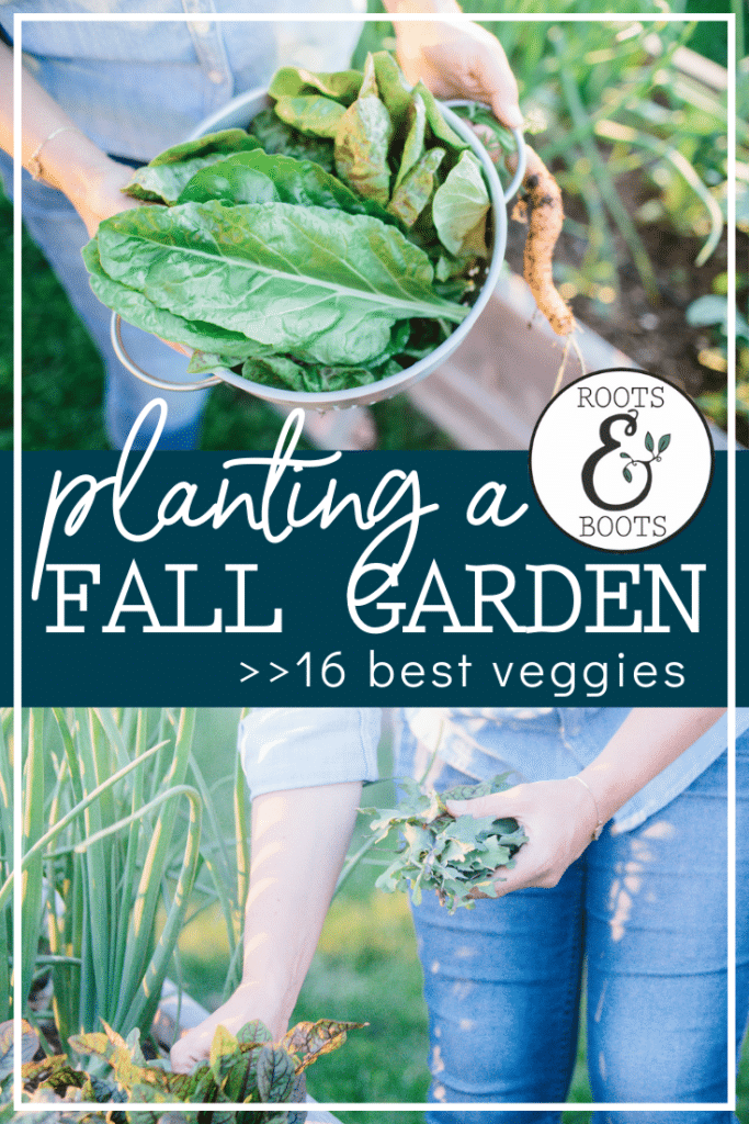 16 Best Veggies for Your Fall Garden | Roots & Boots