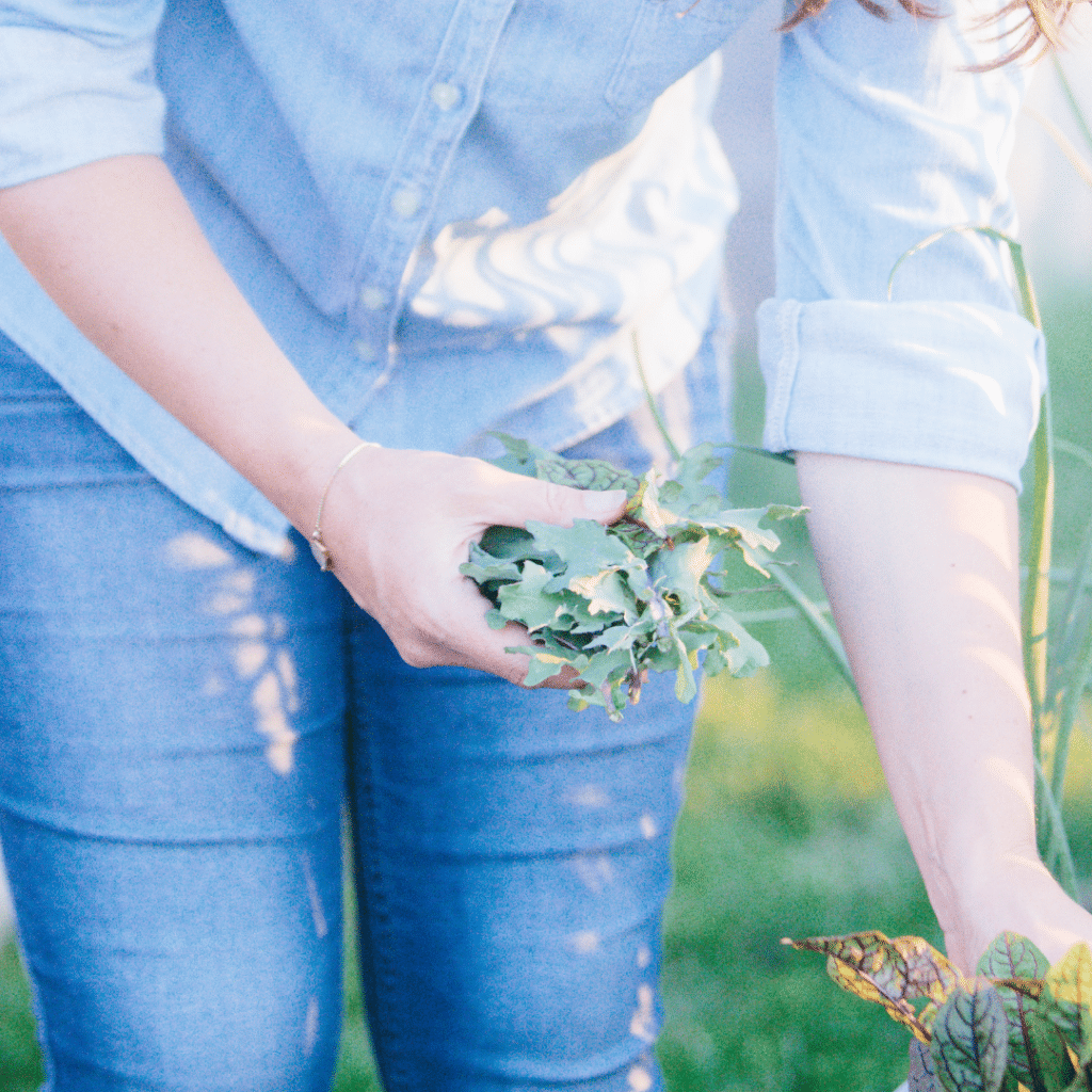 16 Best Veggies for Your Fall Garden | Roots & Boots