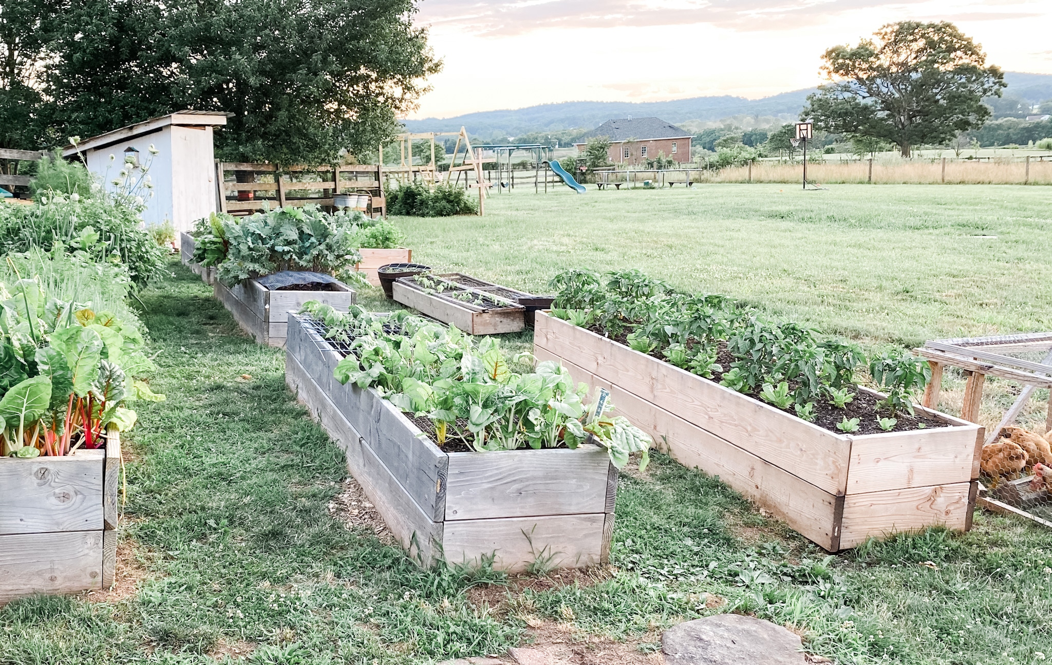 6 Tips for Gardening in Heavy Clay Soil | Roots & Boots