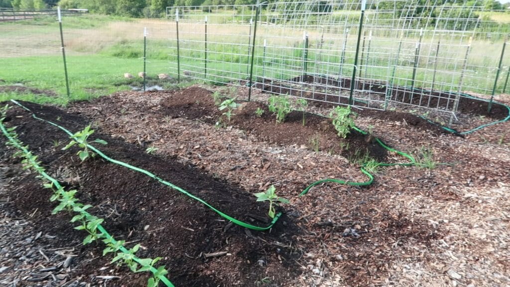 How to Create Trenched Hugelkultur Beds | Roots & Boots