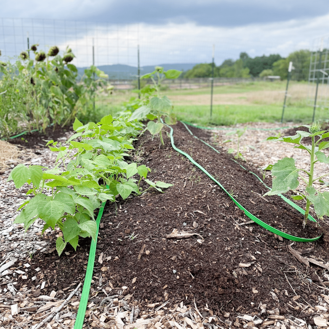 How to Create Trenched Hugelkultur Beds | Roots & Boots