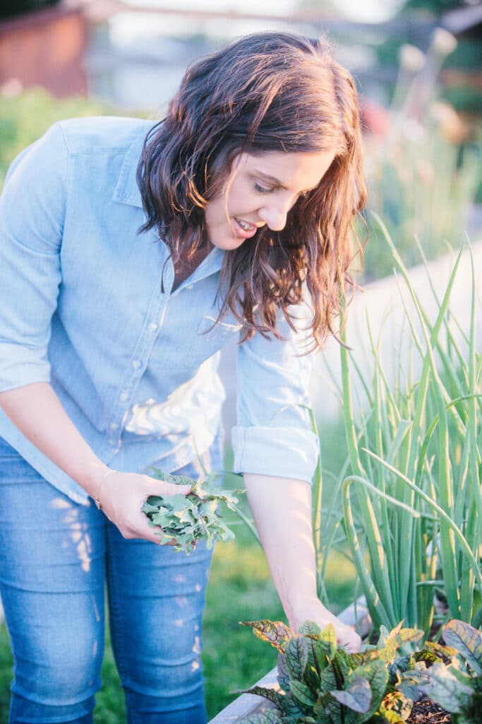 How to Overwinter Greens for Early Harvest | Roots & Boots