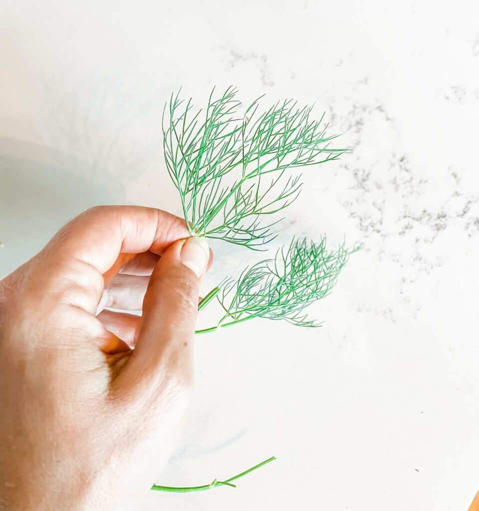 How to Dry Your Own Herbs in a Dehydrator - Roots & Boots