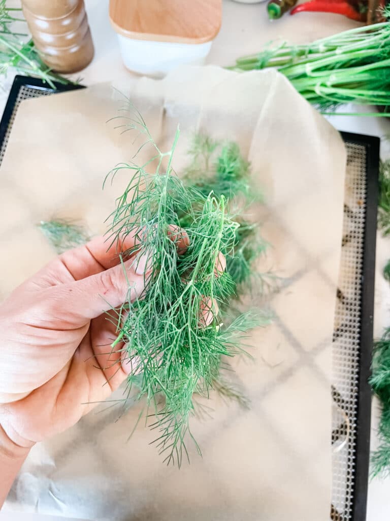 How to Dry Your Own Herbs in a Dehydrator | Roots & Boots