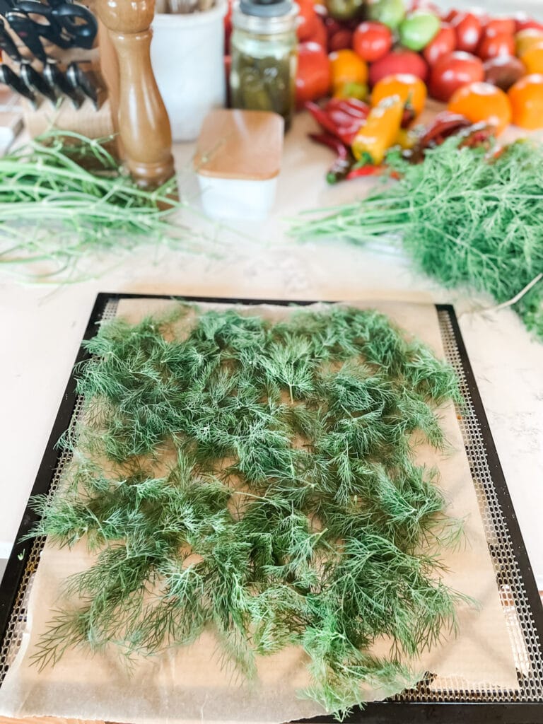 How to Dry Your Own Herbs in a Dehydrator | Roots & Boots