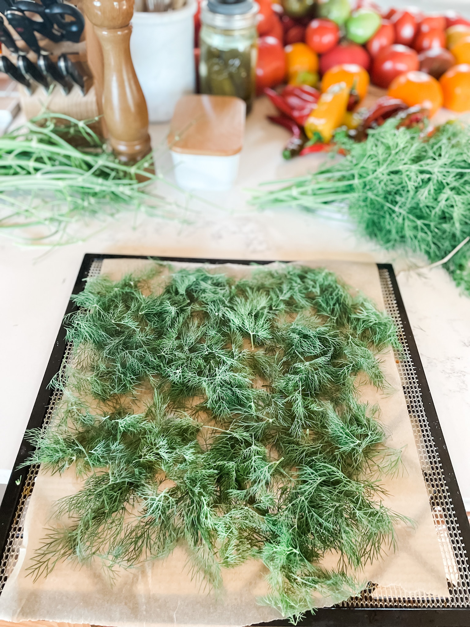 How to Dry Your Own Herbs in a Dehydrator Roots & Boots