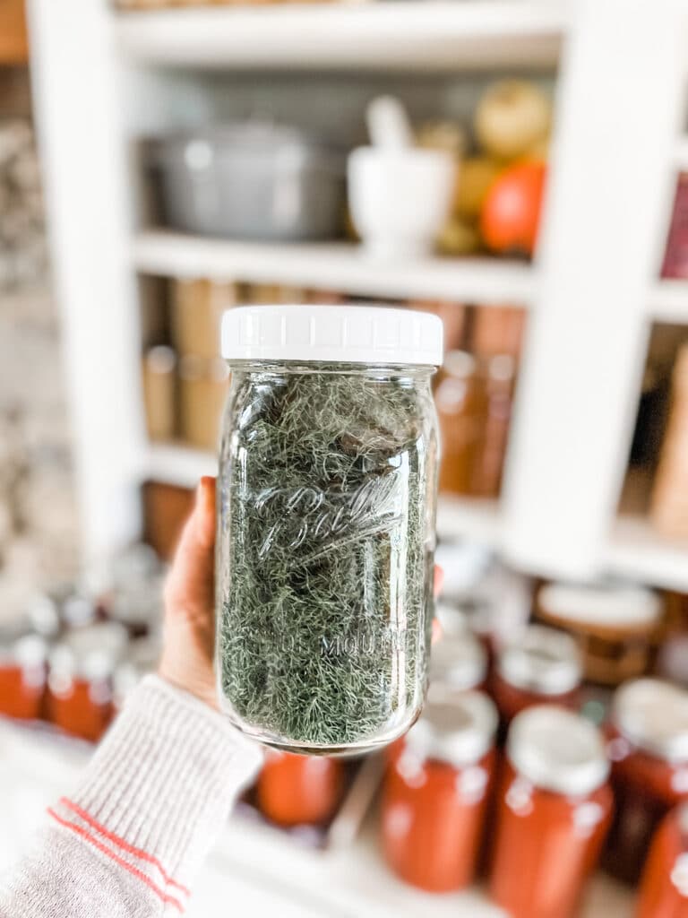 How to Dry Your Own Herbs in a Dehydrator | Roots & Boots