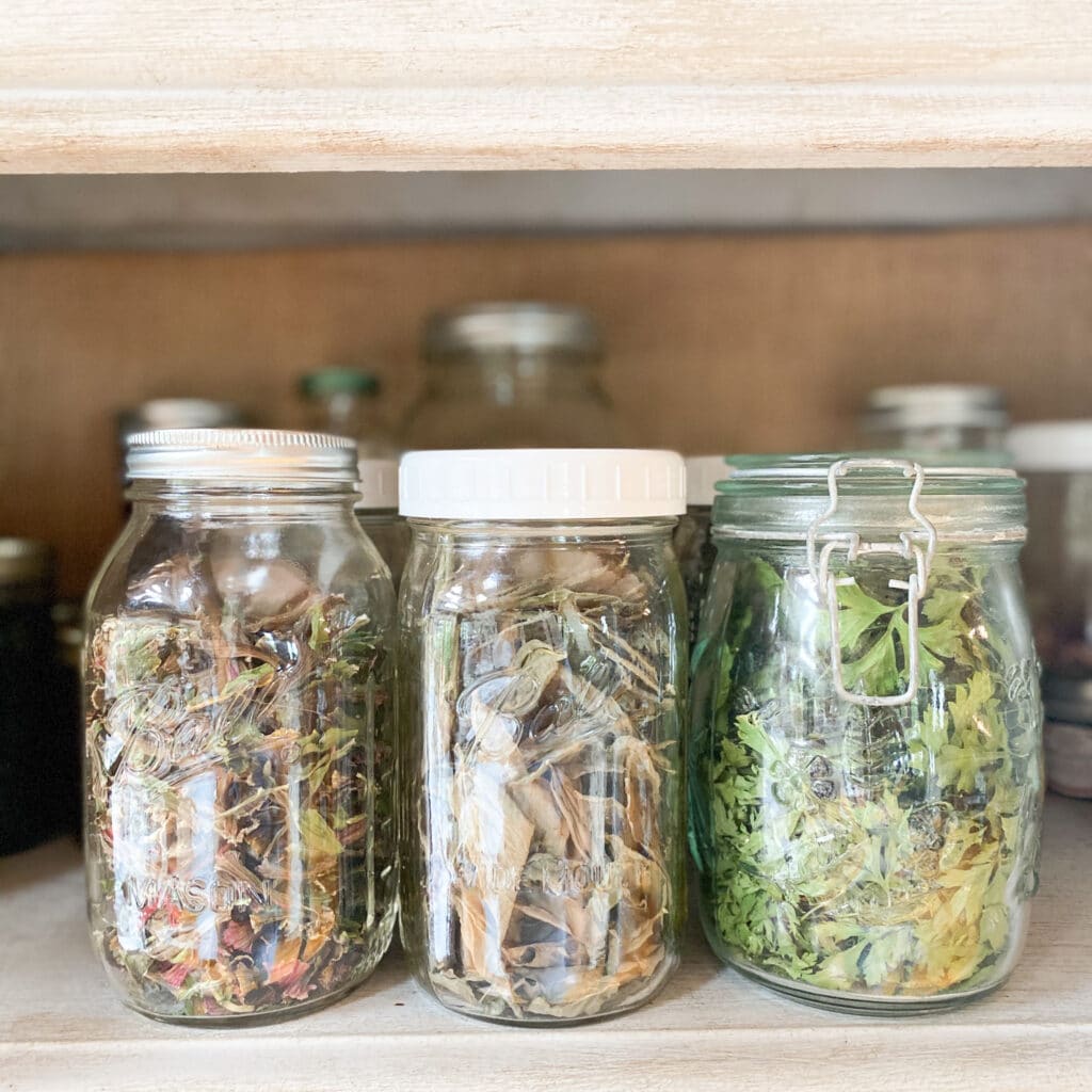 How to Dry Your Own Herbs in a Dehydrator - Roots & Boots