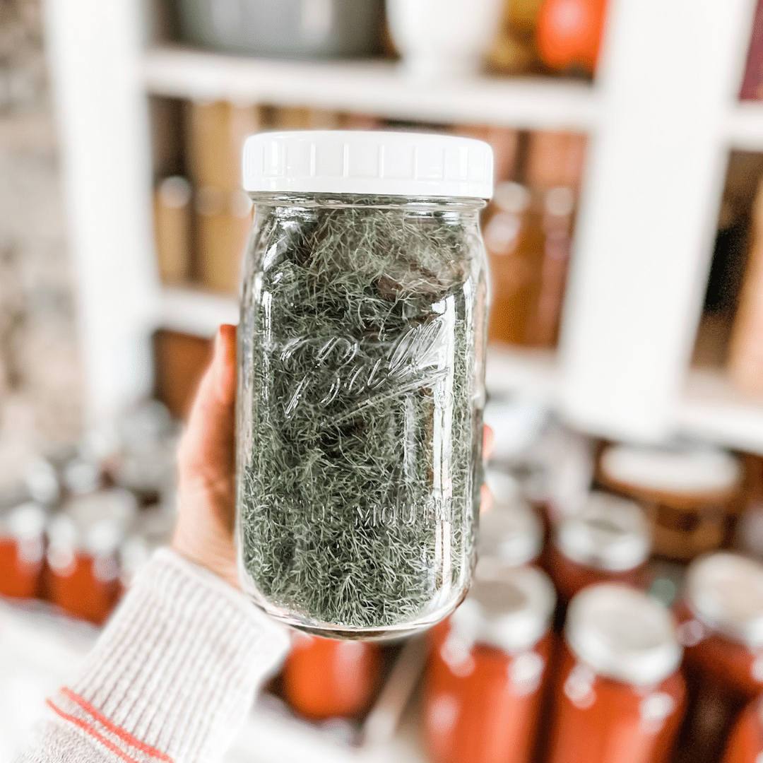 How to Dry Your Own Herbs in a Dehydrator | Roots & Boots