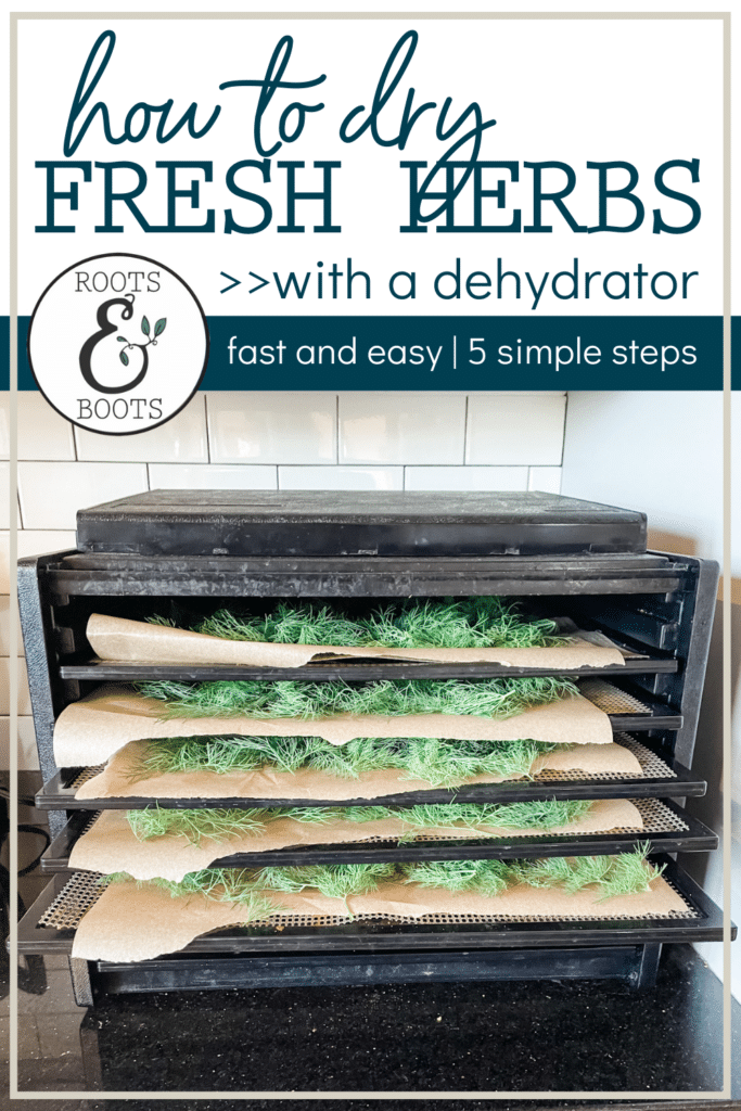 How to Dry Your Own Herbs in a Dehydrator | Roots & Boots