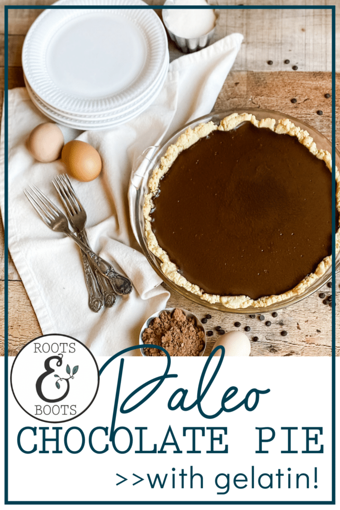 Paleo Chocolate Pie with Gelatin | Roots & Boots