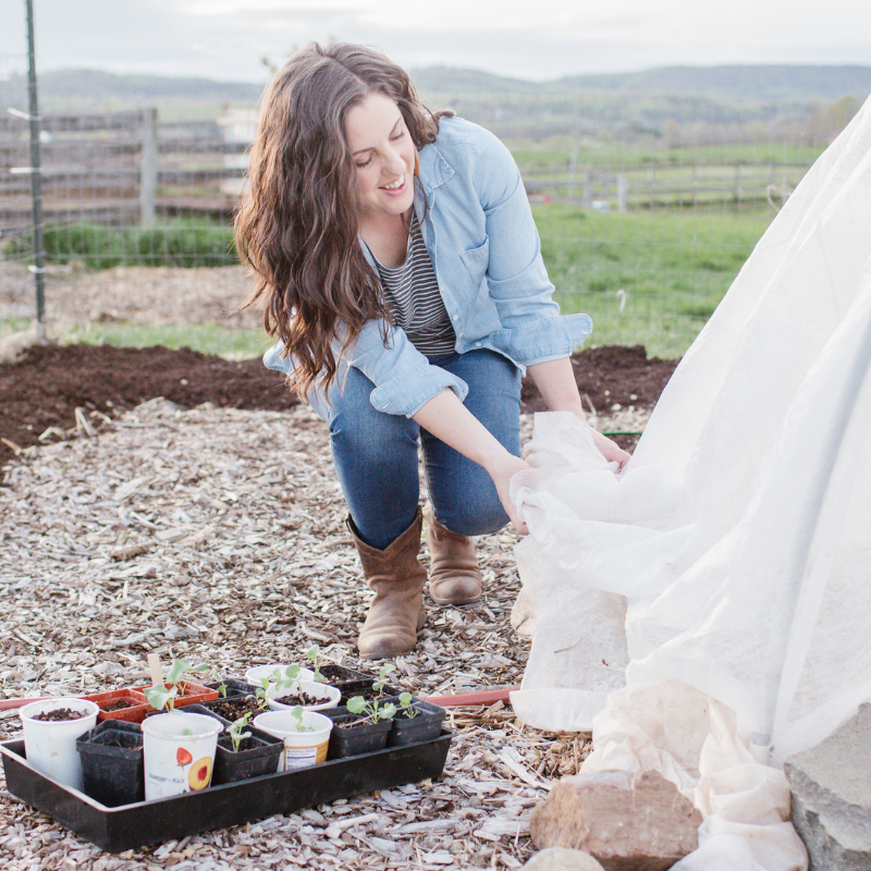 How to Grow Organic Pest-Free Broccoli | Roots & Boots