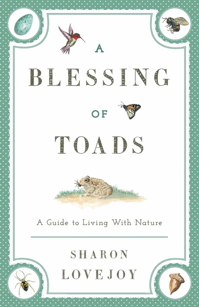 A blessing of toads A blessing of toads