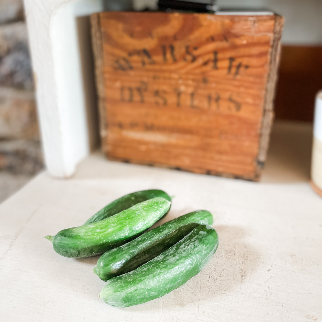 Cucumbers for Fermented Dill Pickles | Roots & Boots