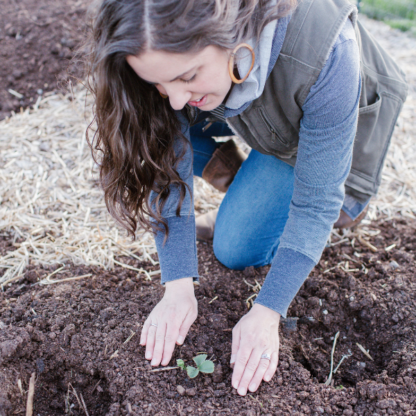 How to Grow Asparagus with Strawberries | Roots & Boots