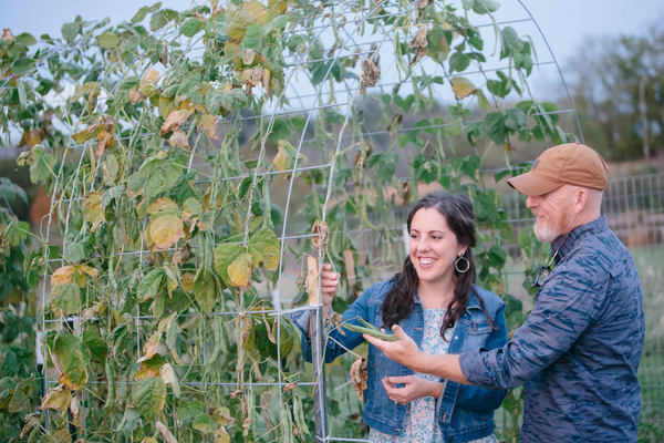 How to Grow Shelling Beans | Roots & Boots