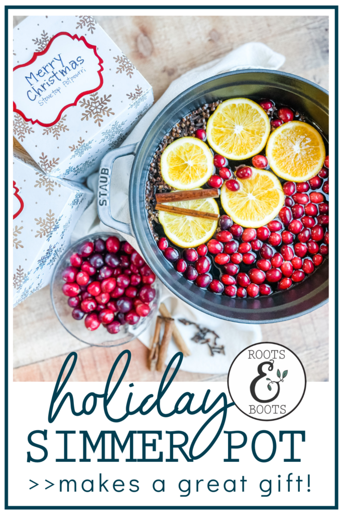 Holiday Stovetop Simmer Blend | Roots & Boots