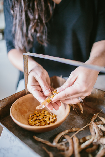 How to Grow Shelling Beans | Roots & Boots