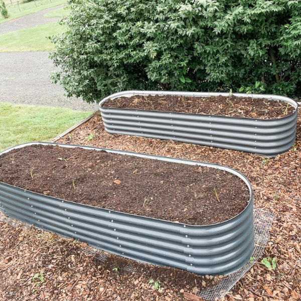 Pros and Cons of Galvanized Raised Beds | Roots & Boots