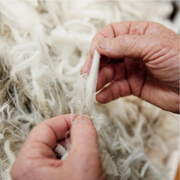 Merino Wool Fibers | Roots & Boots