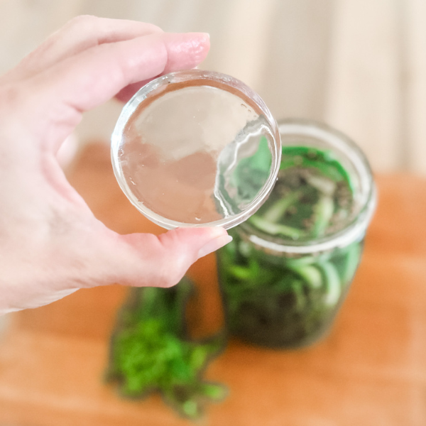 Glass Fermentation Weight for Fermented Garlic Scape Pickles | Roots & Boots