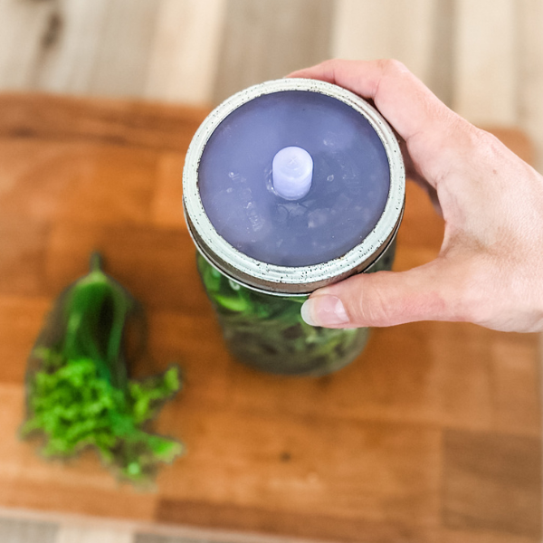 Fermentation Lid for Garlic Scape Pickles | Roots & Boots