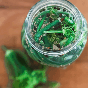Fermented Garlic Scape Pickles | Roots & Boots