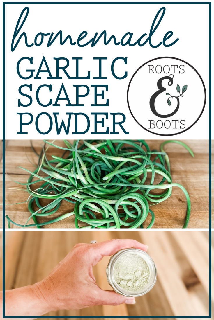 Homemade Garlic Scape Powder | Roots & Boots